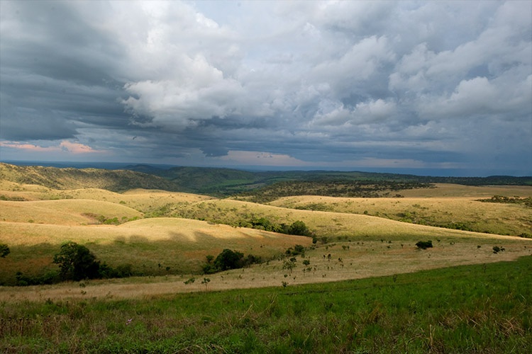 Parc upemba